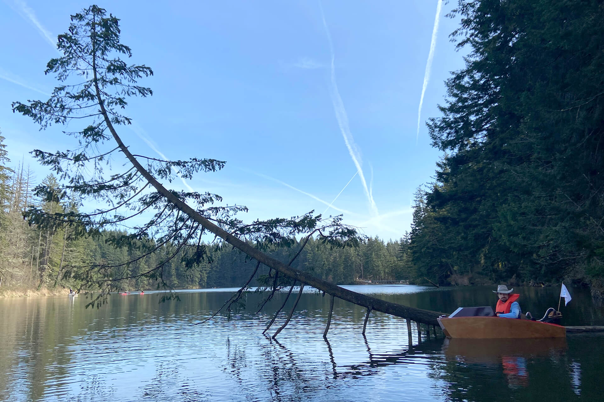 The mini boat next to a curved tree growing out of the water