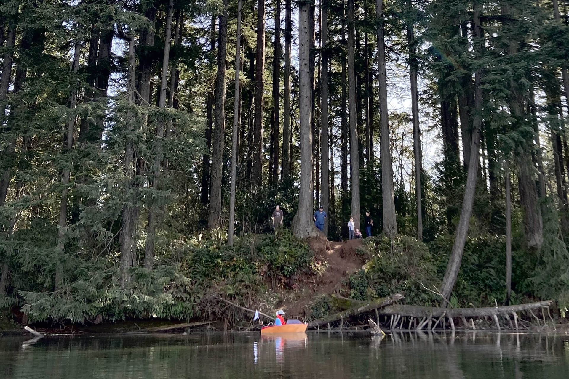 The mini boat next to a shoreline with large trees